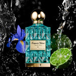 TURQUOISE VETIVER - image 2